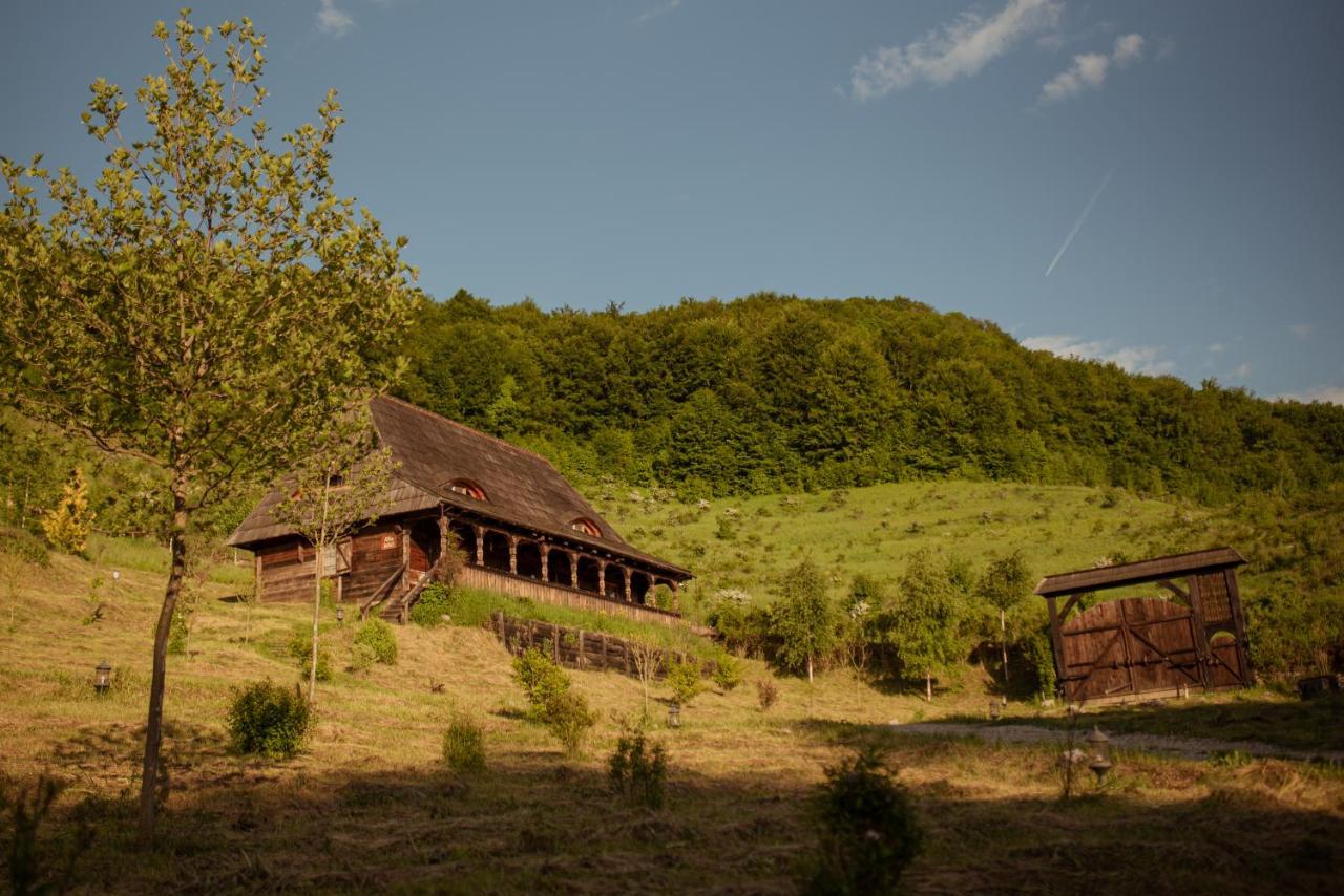 Raven'S Nest - The Hidden Village, Transylvania - Romania Sub Piatra Ngoại thất bức ảnh