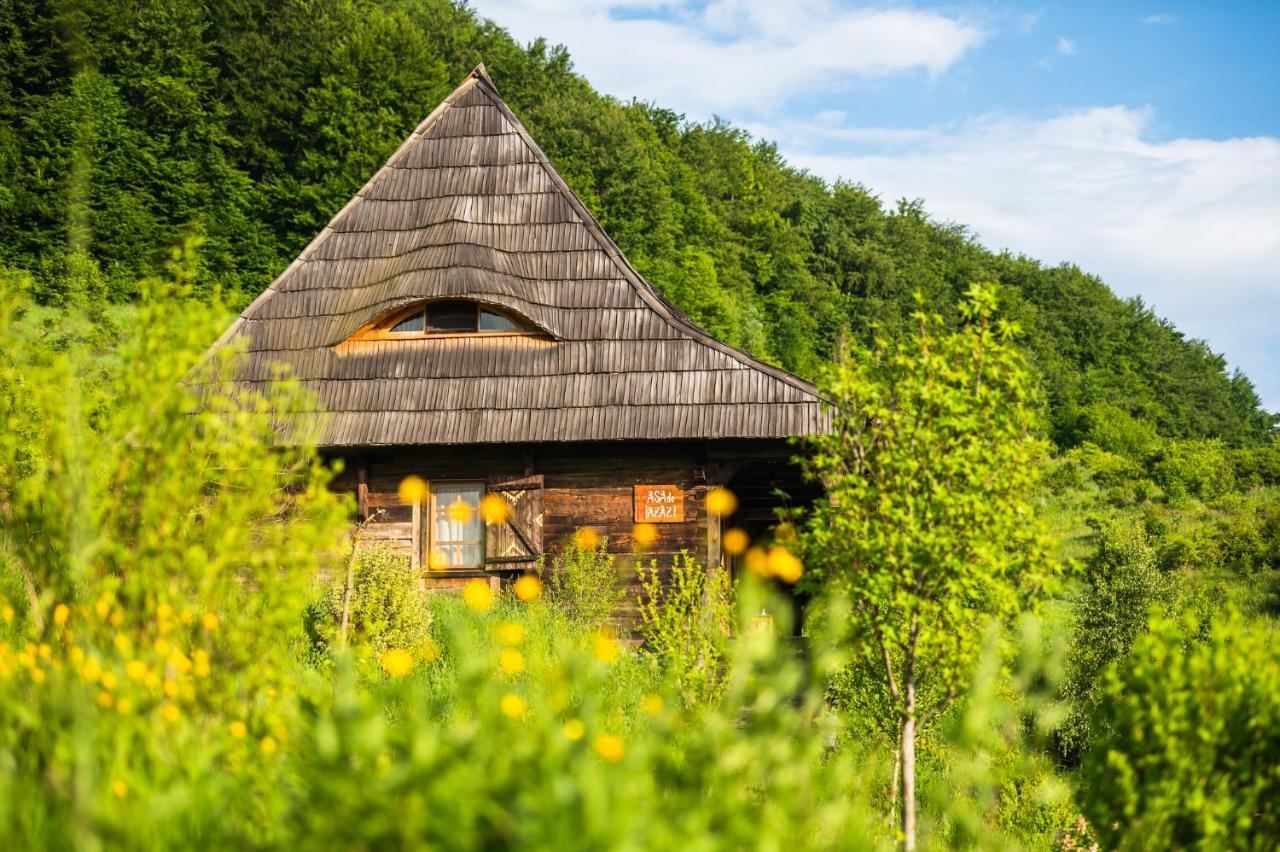 Raven'S Nest - The Hidden Village, Transylvania - Romania Sub Piatra Ngoại thất bức ảnh