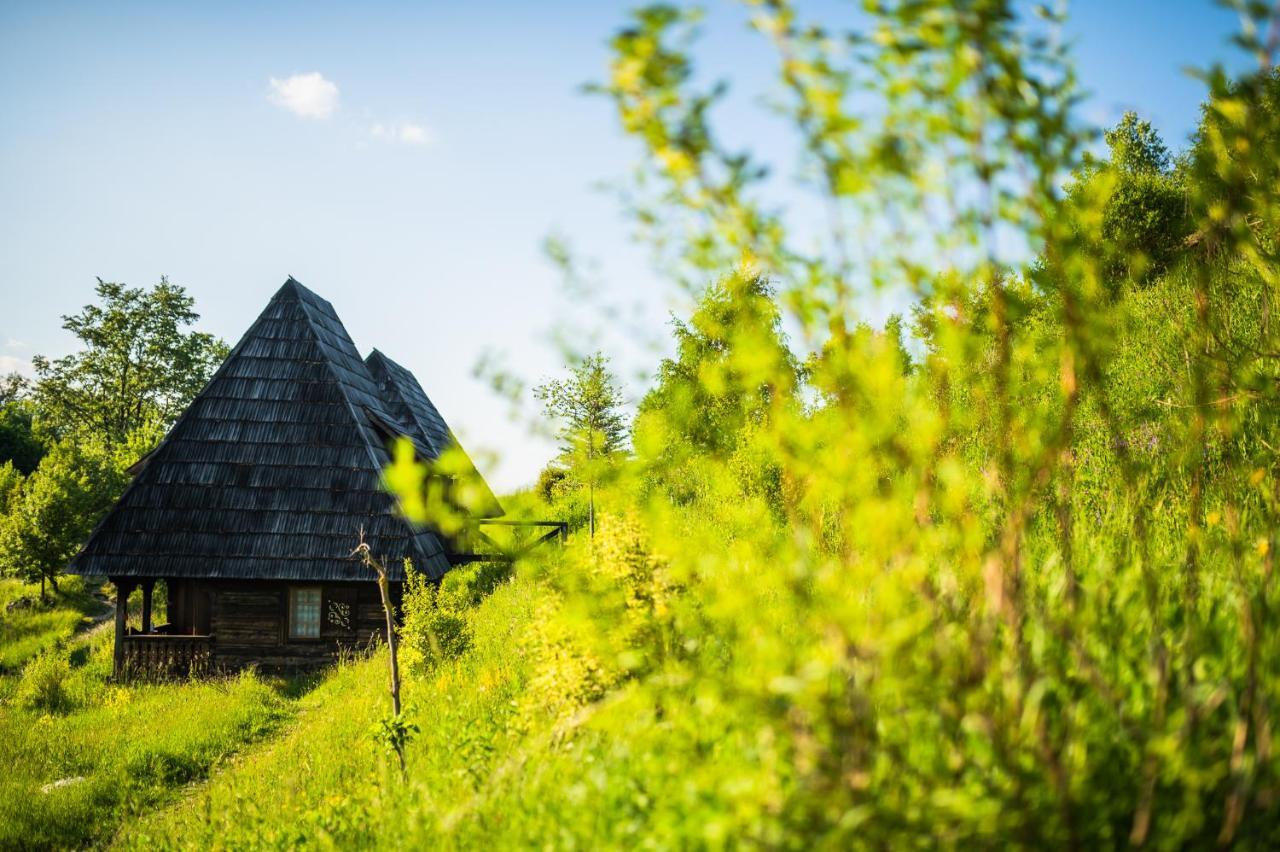 Raven'S Nest - The Hidden Village, Transylvania - Romania Sub Piatra Ngoại thất bức ảnh
